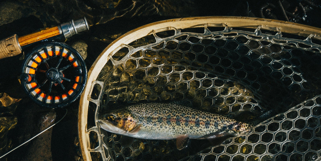 10 Best Trout Flies for Your Next Fishing Adventure - brookbow