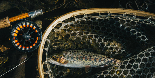 10 Best Trout Flies for Your Next Fishing Adventure - brookbow