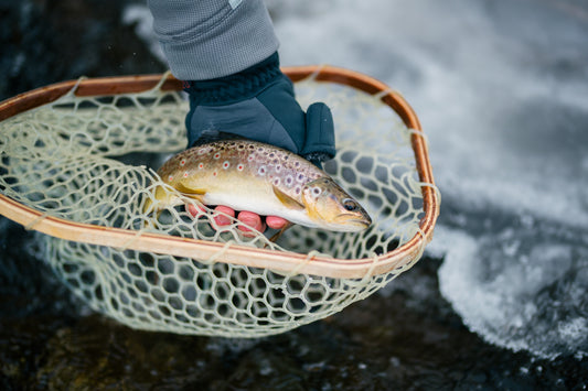 Trout Fly Fishing Tips - Fly Fishing Tips for Beginners - brookbow